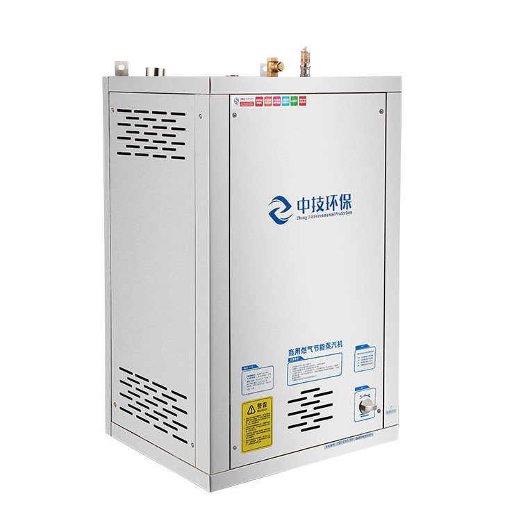 Kleiner Erdgasgenerator 0,1 MPa 220 V Industrieller Tragbarer Dampferzeuger